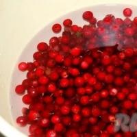 Pickled lingonberries: both medicine and delicacy Pickled lingonberries recipe without sugar