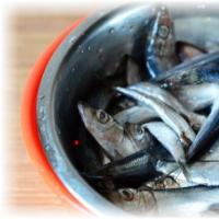 How to pickle sprat at home